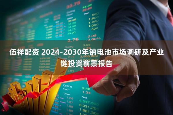 伍祥配资 2024-2030年钠电池市场调研及产业链投资前景报告